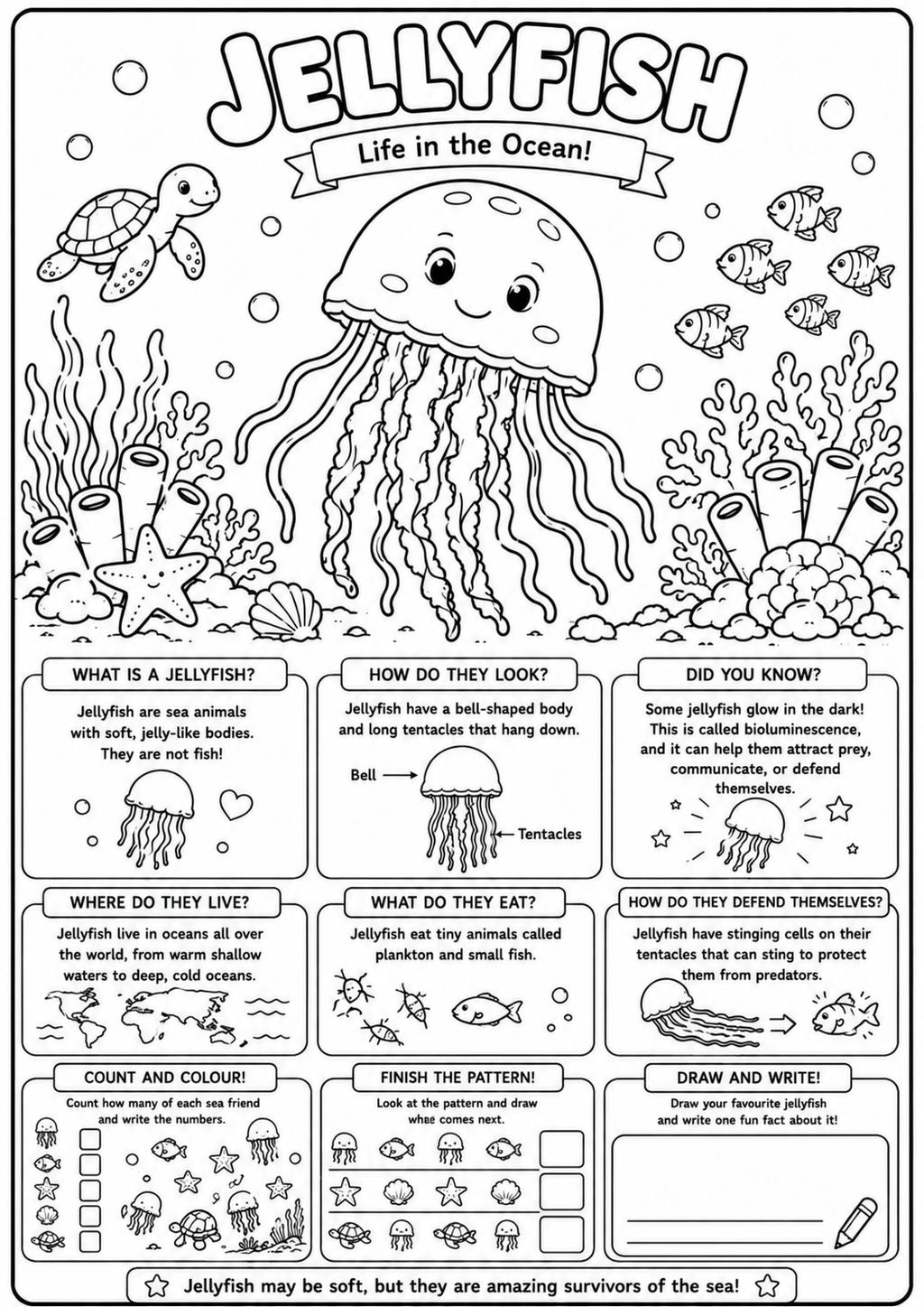 Jellyfish Adventures | Educational Colouring Book Ages 4–8 | Printable PDF
