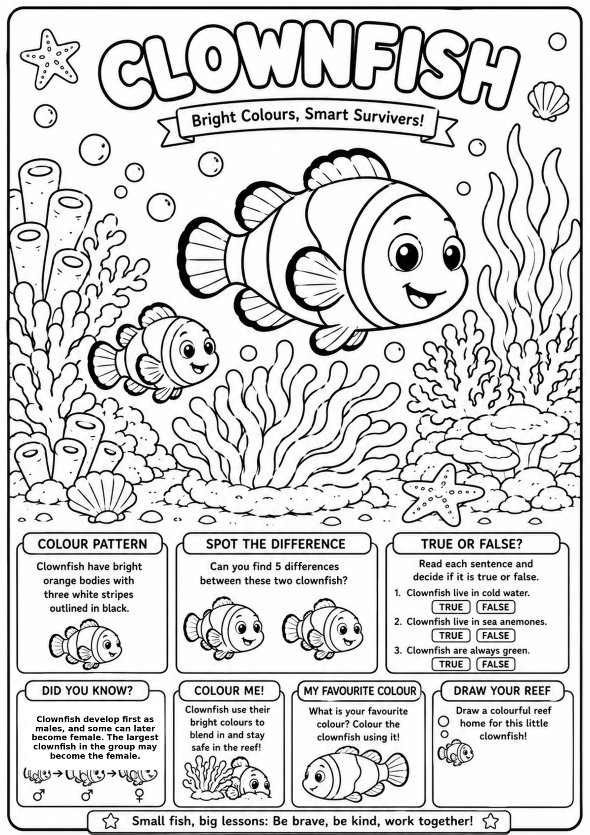 Clownfish Adventures | Educational Colouring & Activity Book Ages 4–8 | Printable PDF