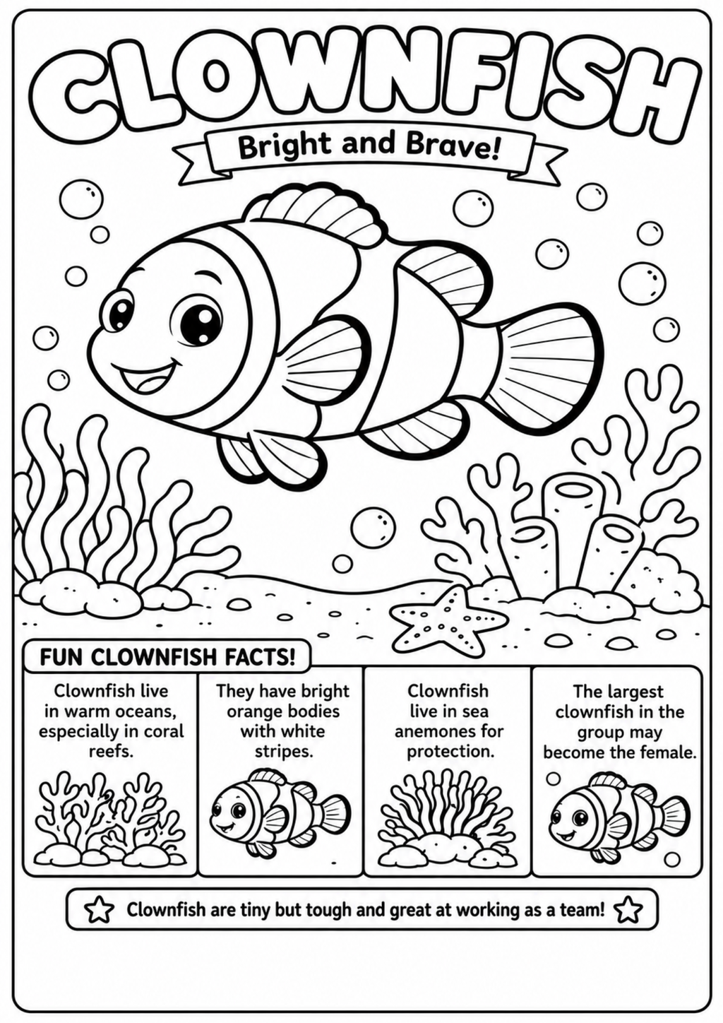 Clownfish Adventures | Educational Colouring & Activity Book Ages 4–8 | Printable PDF