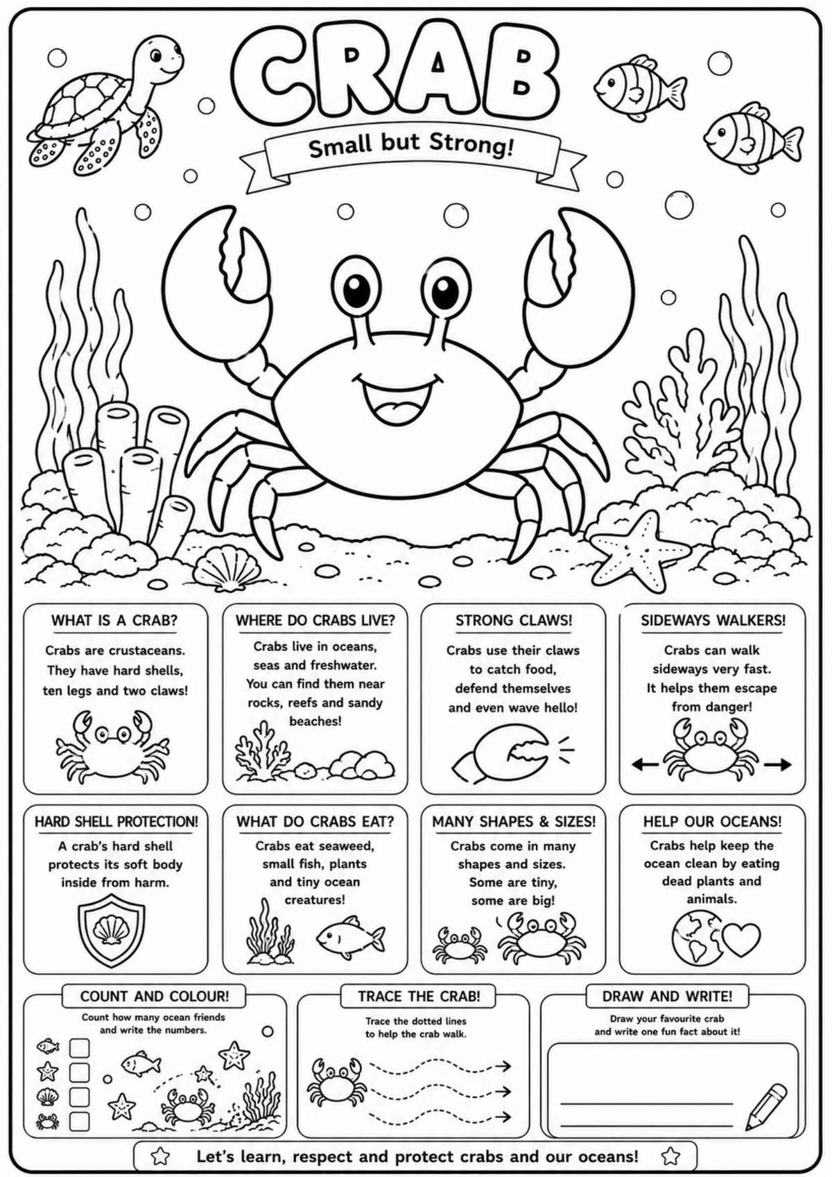 Crab Adventures | Educational Colouring Book Ages 4–8 | Printable PDF