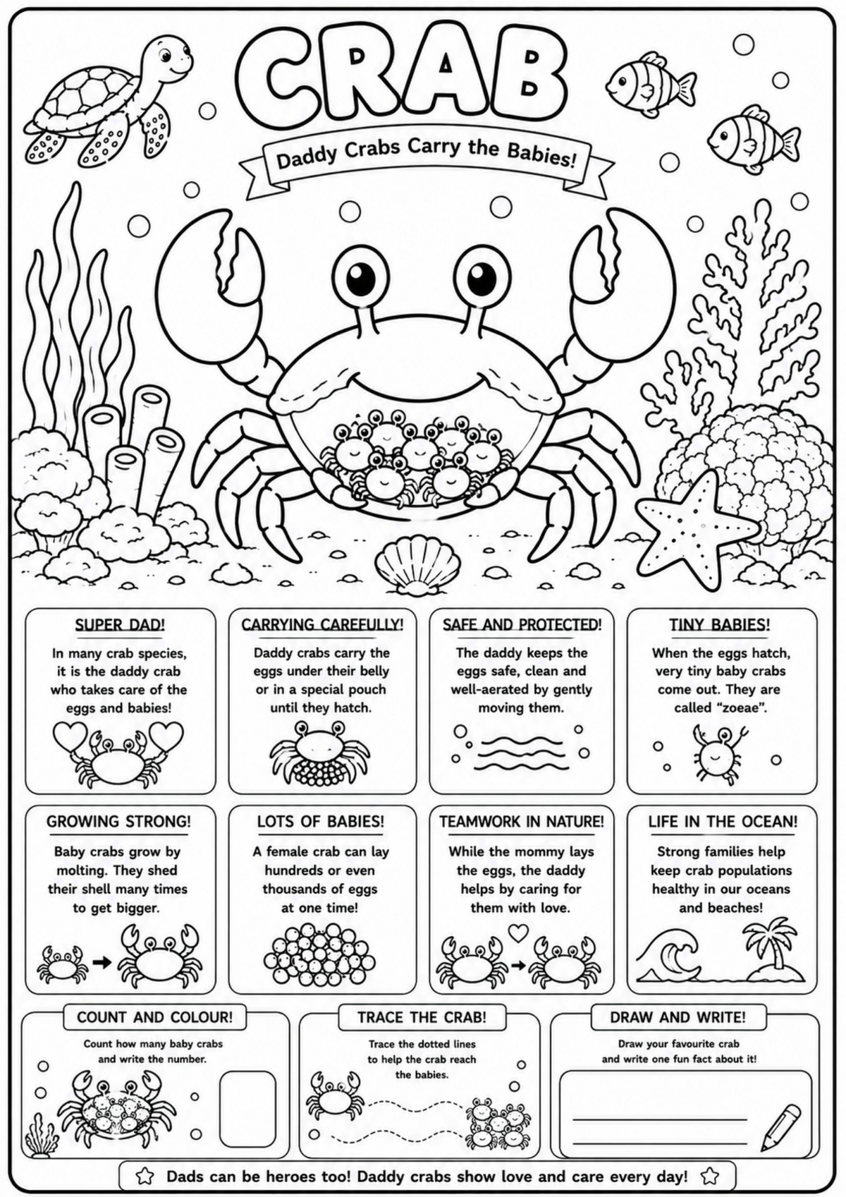 Crab Adventures | Educational Colouring Book Ages 4–8 | Printable PDF