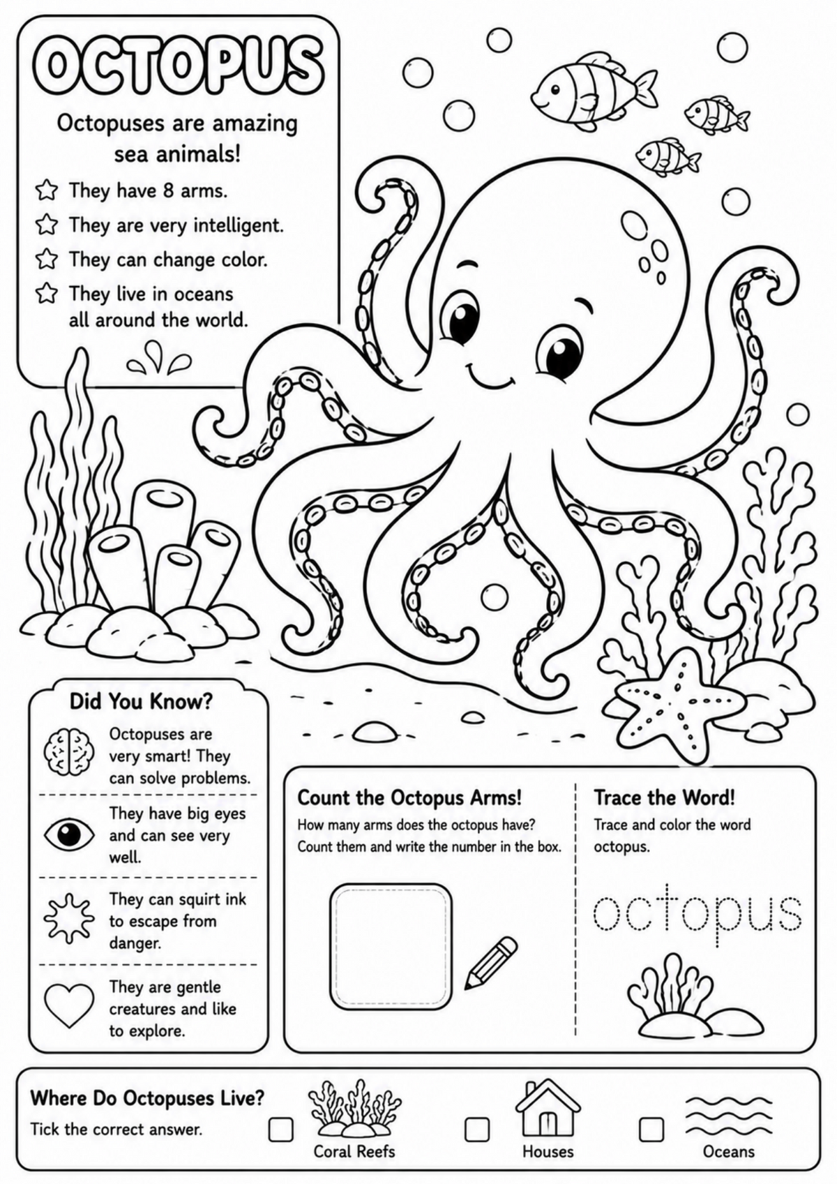 Octopus Adventures – Educational Colouring & Activity Book for Kids Ages 4–8 | 13-Page Digital PDF