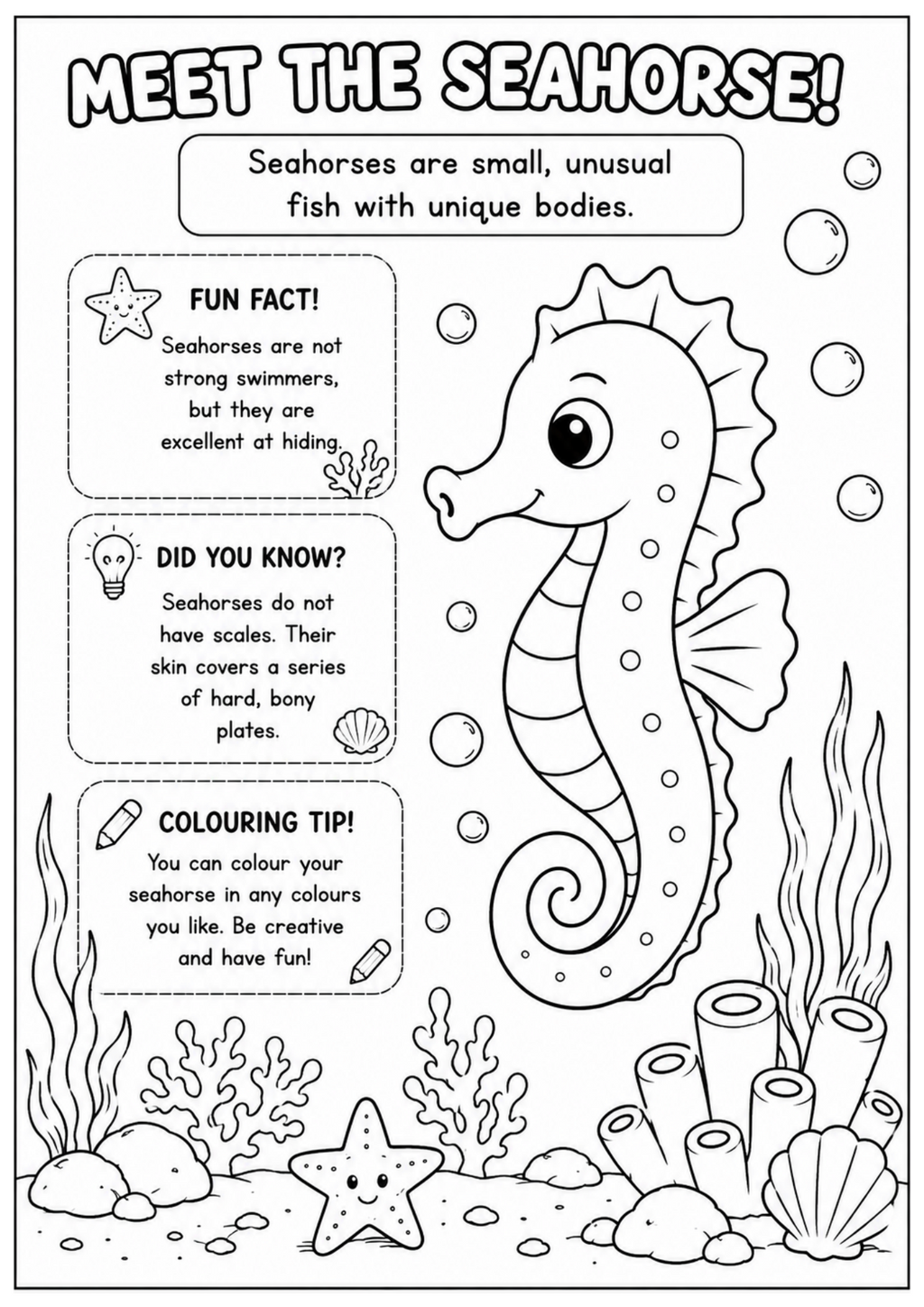 Seahorse Adventures | Educational Colouring Book Ages 4–8 | Printable PDF