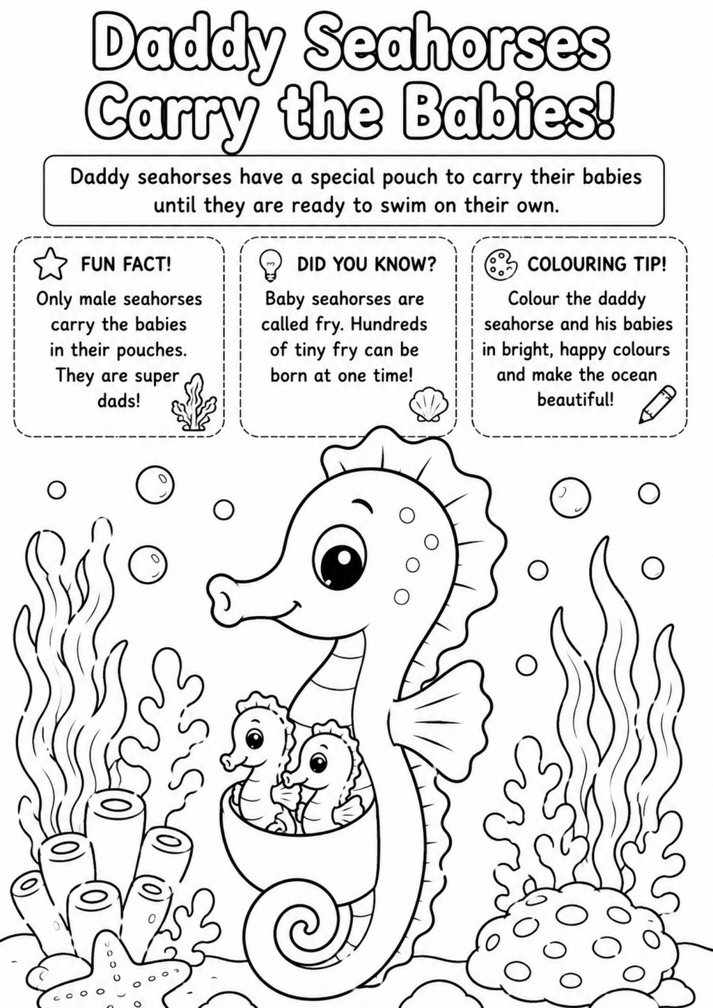 Seahorse Adventures | Educational Colouring Book Ages 4–8 | Printable PDF