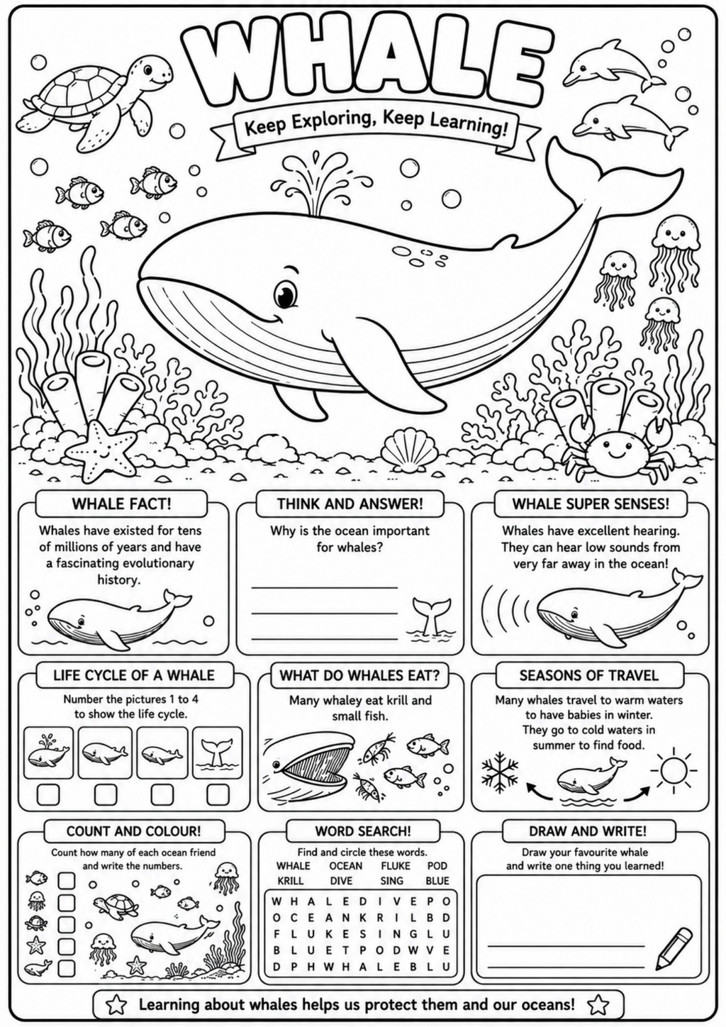 Whale Adventures | Educational Colouring Book Ages 4–8 | Printable PDF