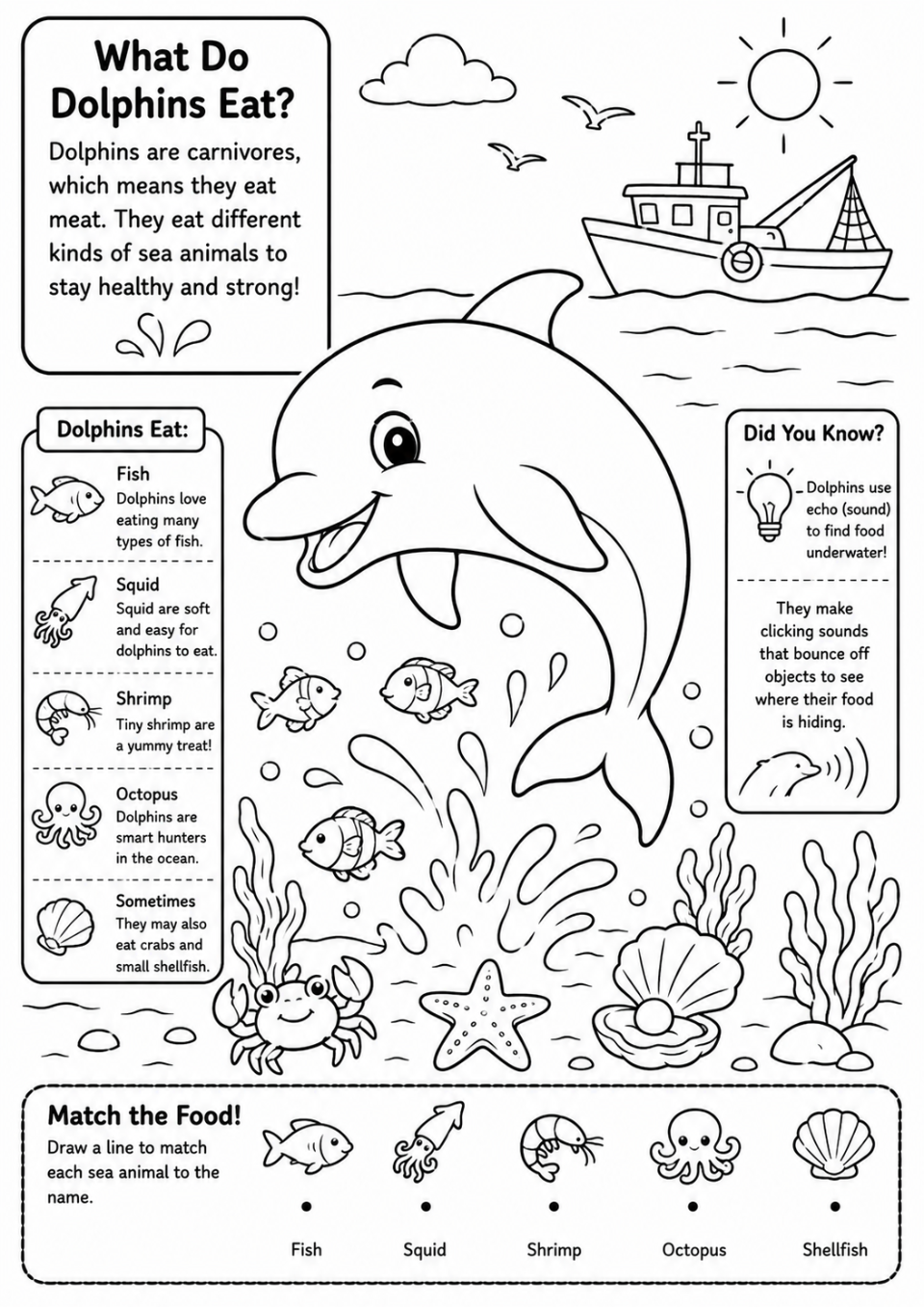 Dolphin Colouring & Activity Book for Kids Ages 4–8 | Printable 13-Page PDF
